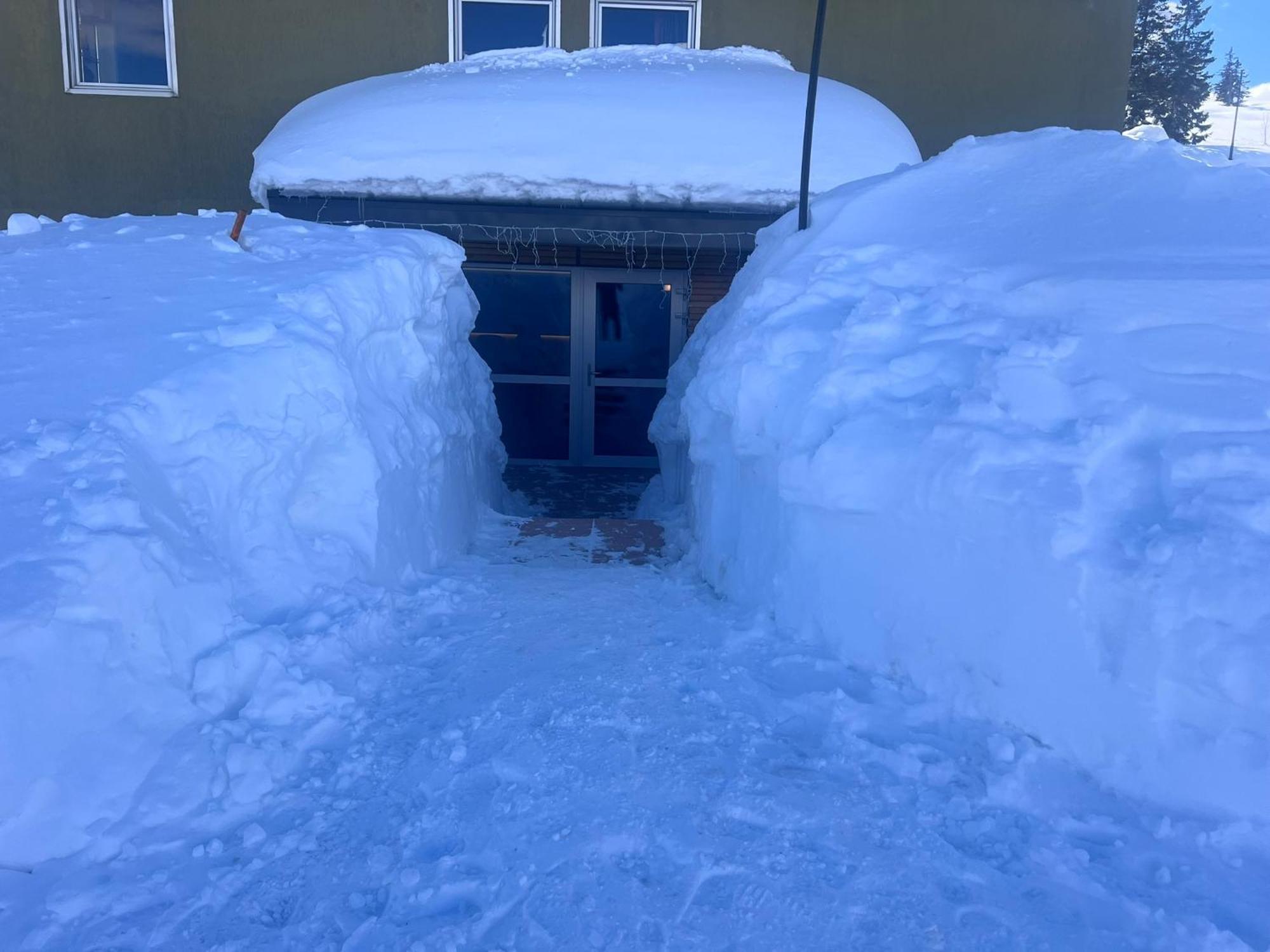 Anemone Bianco Suite Rooms Tonalepass Exterior foto